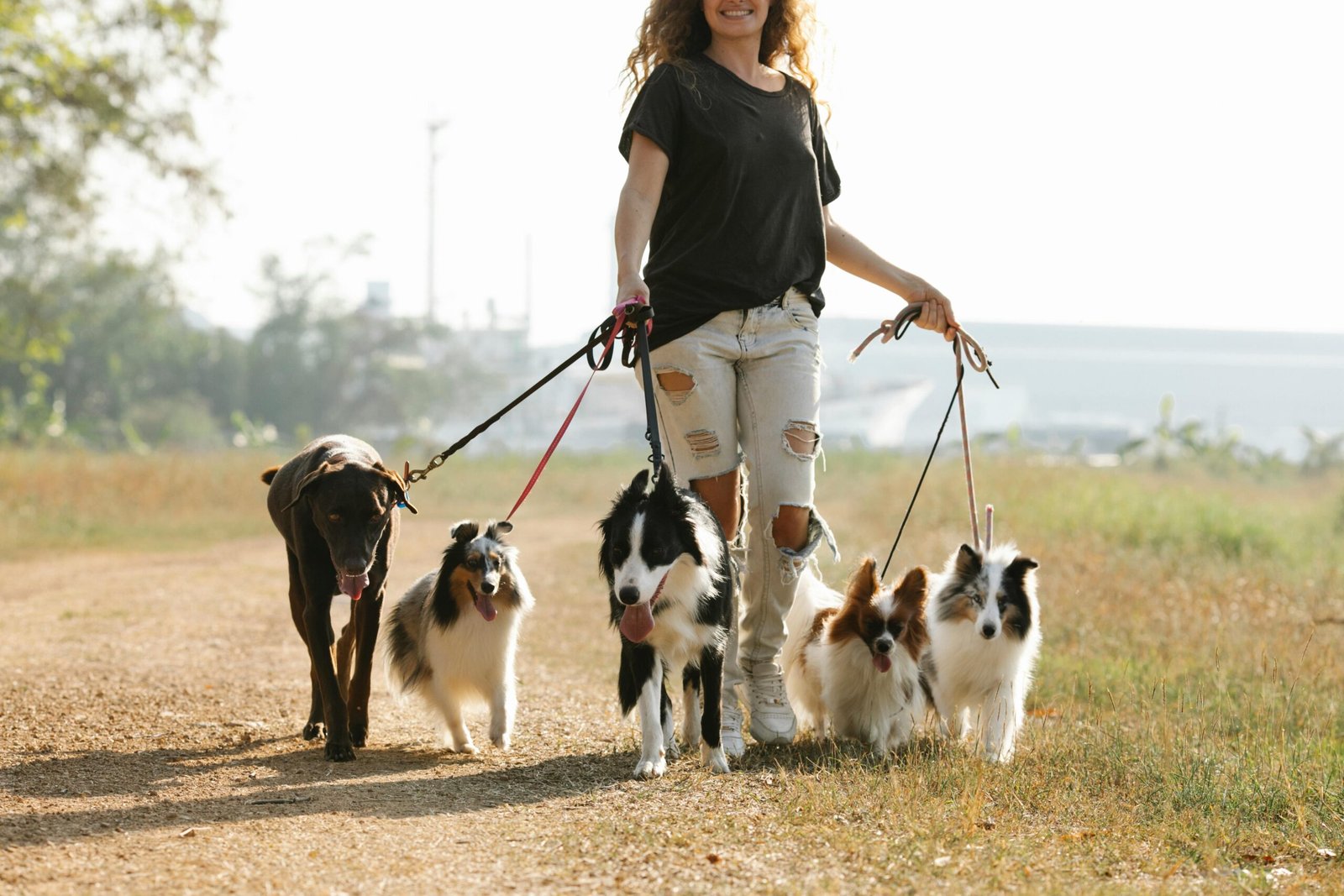 Encouraging Outdoor Activities and Physical Health