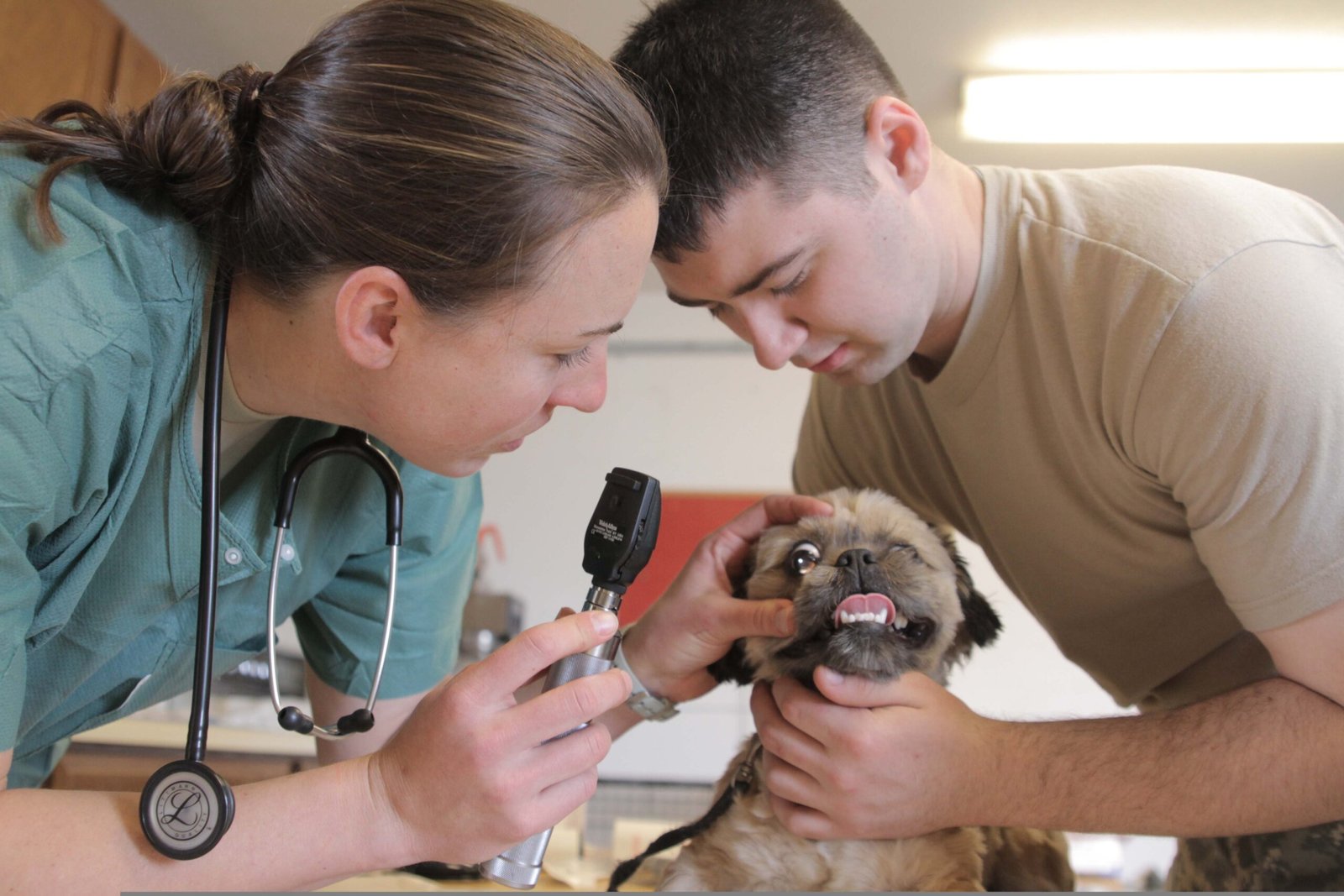 Understanding and Managing Health Concerns