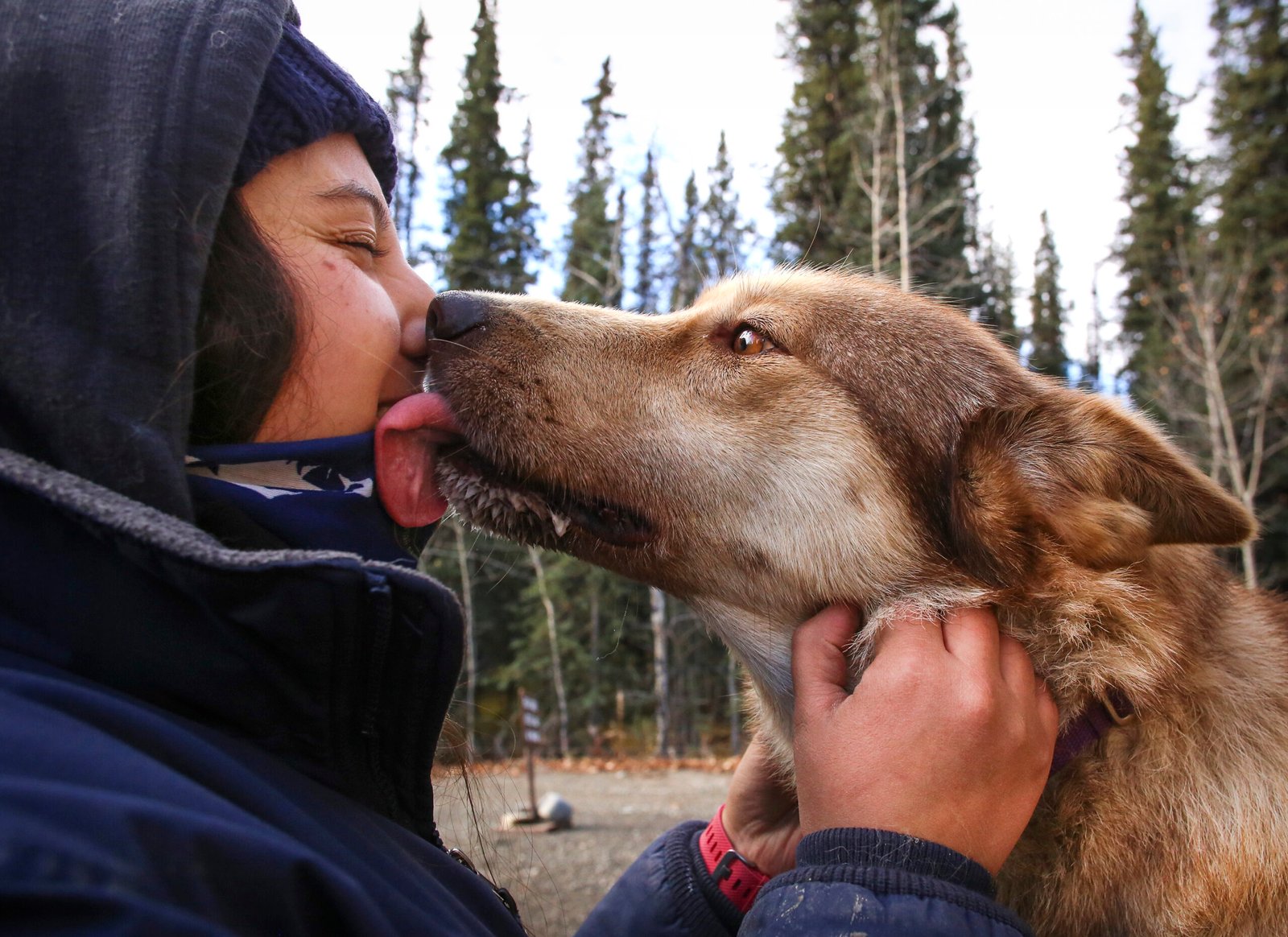 4. Licking Your Face