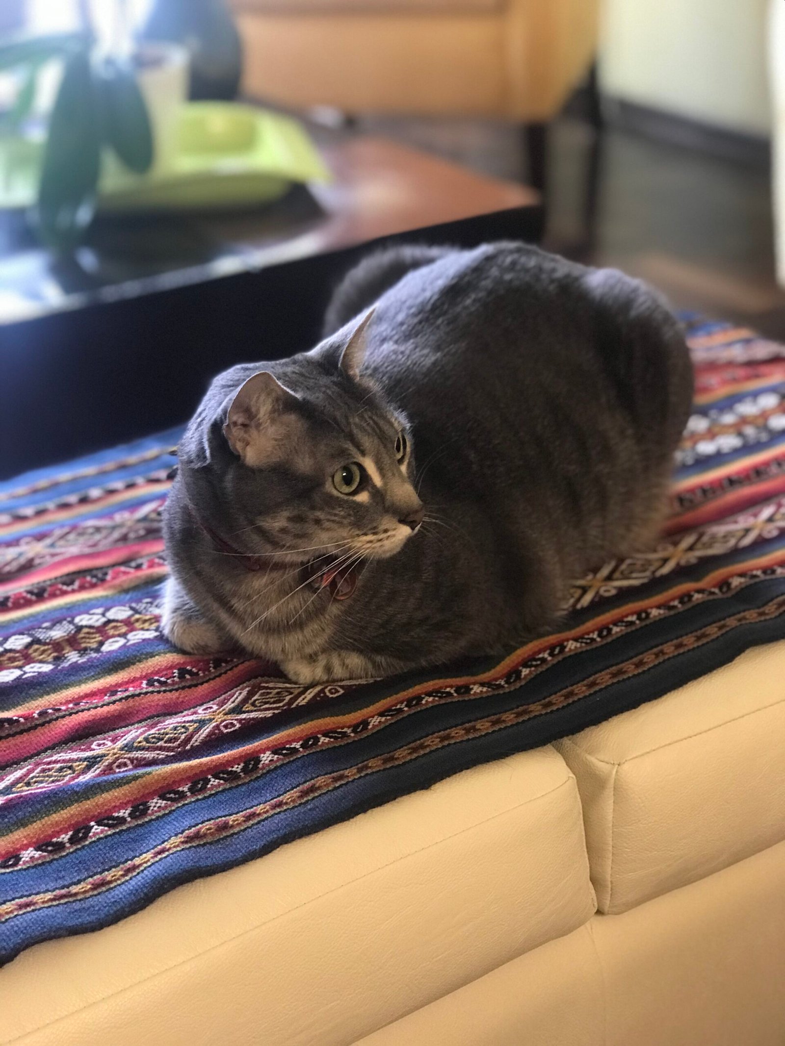 Strong Connection with Humans