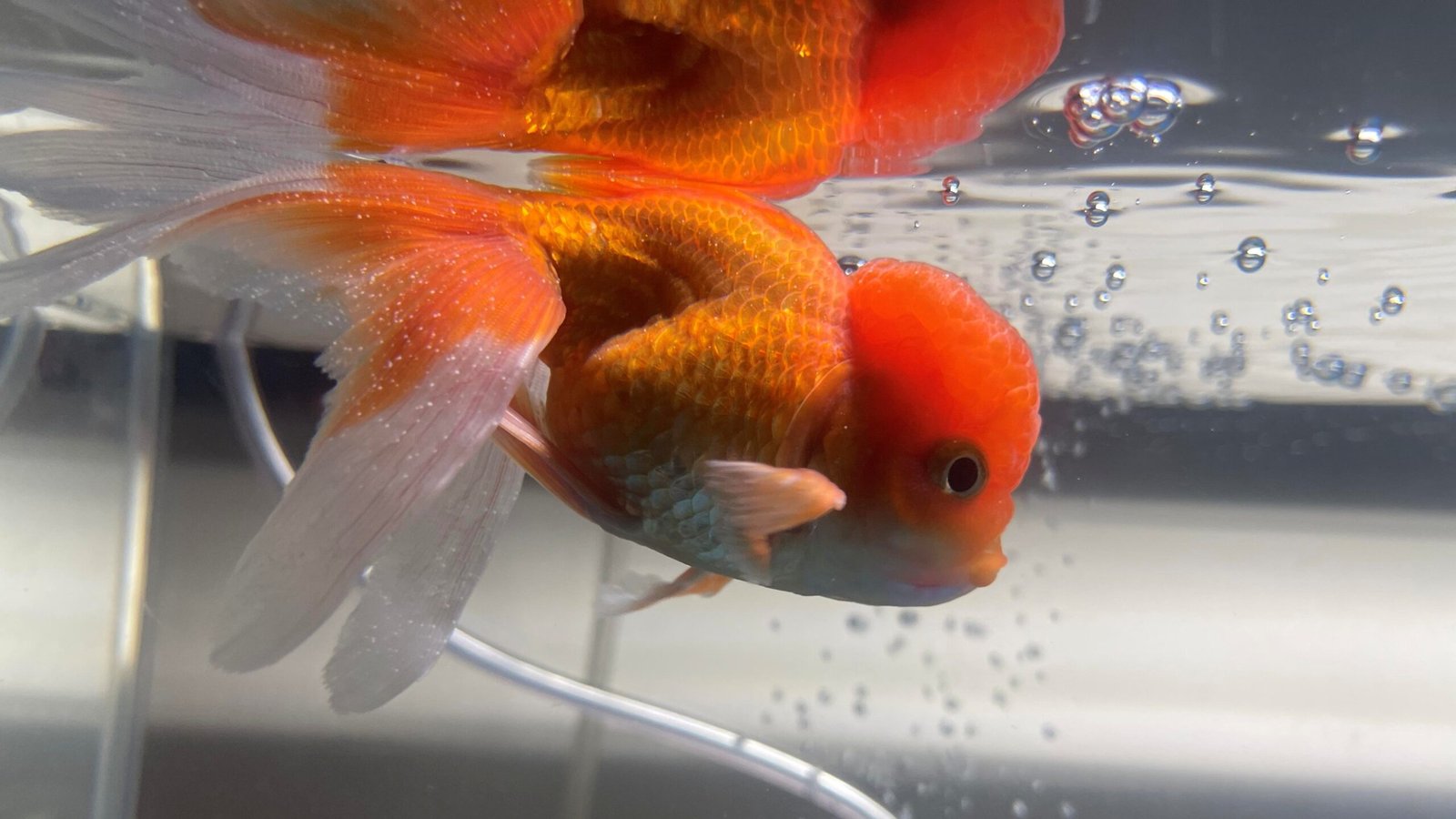 Ensuring Proper Filtration