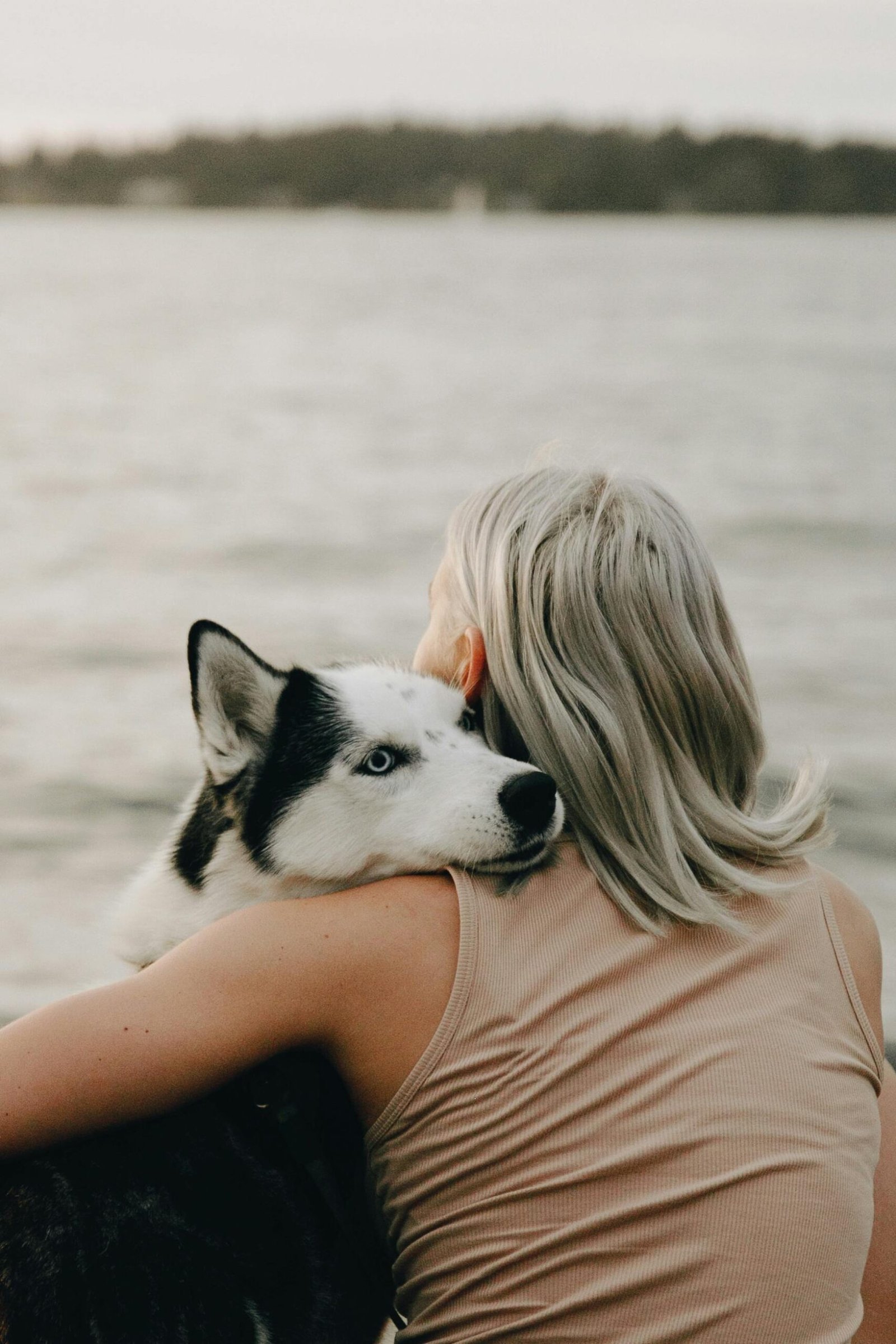 12 Ways Dogs Can Sense When You Need Comfort