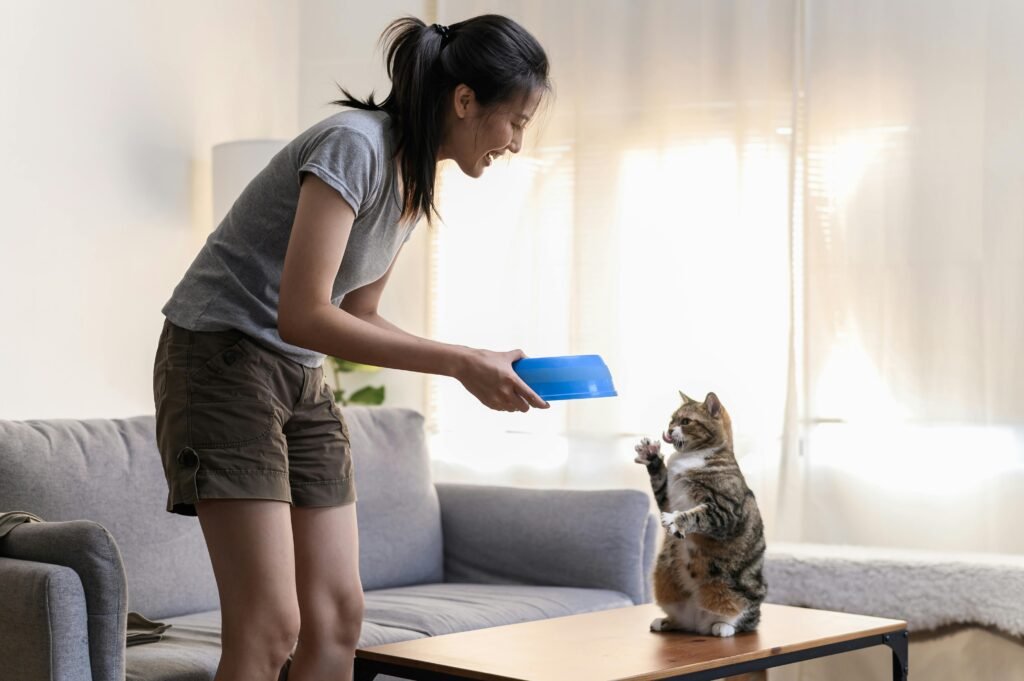 10 Ways to Discipline Your Cat the Right Way