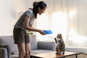 10 Ways to Discipline Your Cat the Right Way