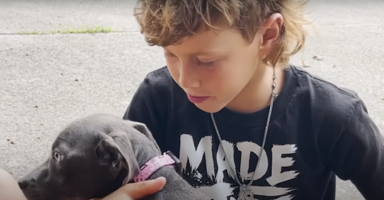 Boy Begs His Mom To Keep The Dog