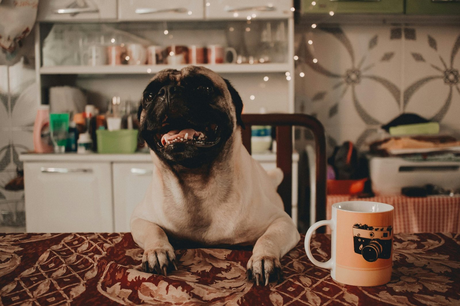 Pug: The Comical Companion