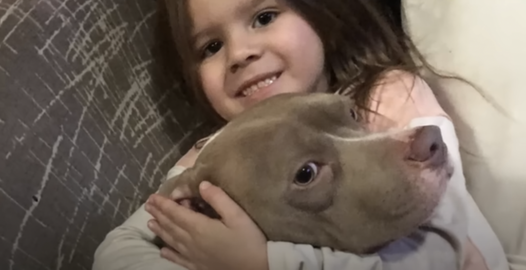 Pittie