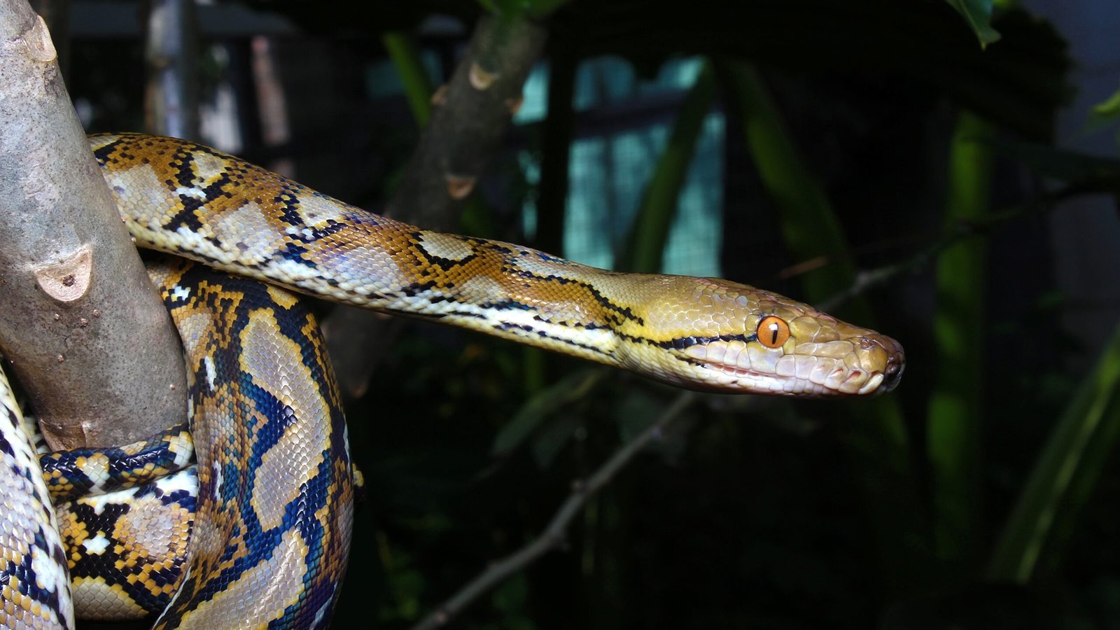 Providing Enrichment Activities