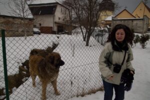10 Signs That You Might Not Be a Dog Person