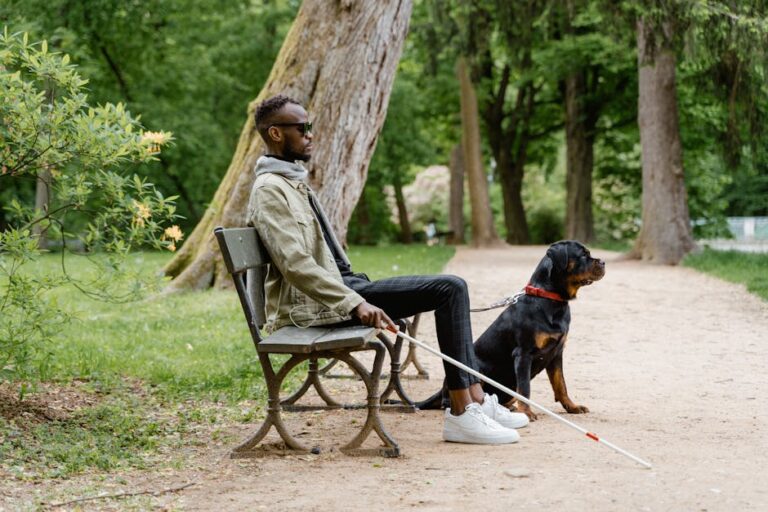 10 Dog Breeds That Don't Get Easily Adopted and Why They Deserve More Compassion