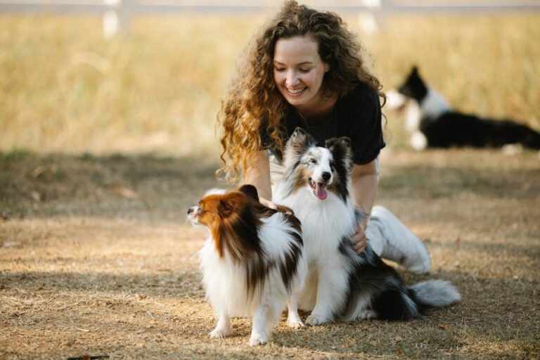 10 Things You Should Know Before Owning a Rough Collie