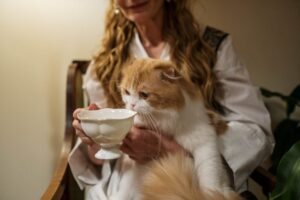 10 Diet Tips to Ensure Your Cat Lives a Healthy Long Life