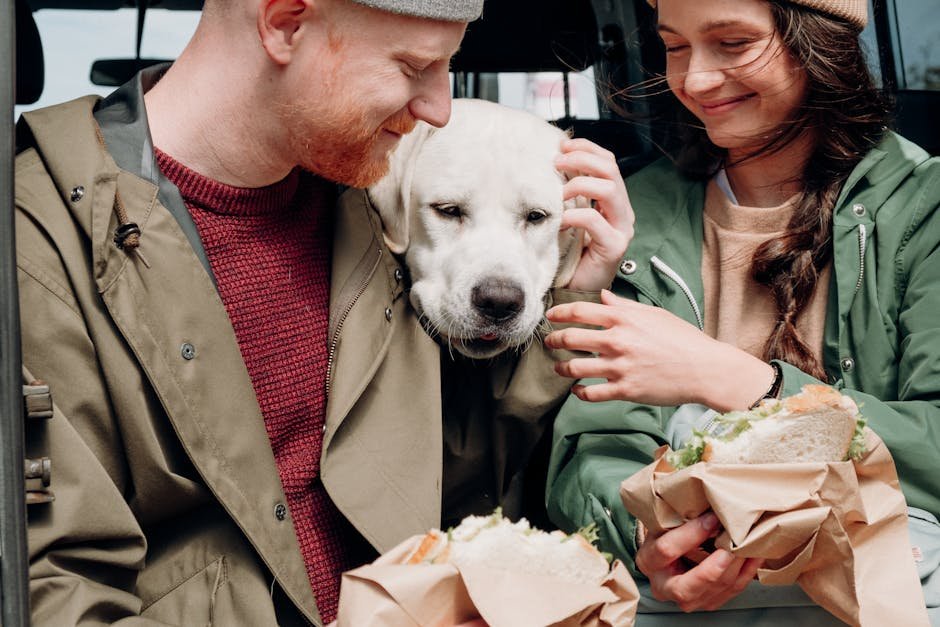 Loyal Companionship (image credits: pexels)