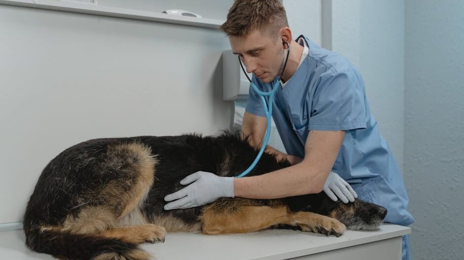 Schedule Regular Vet Checkups