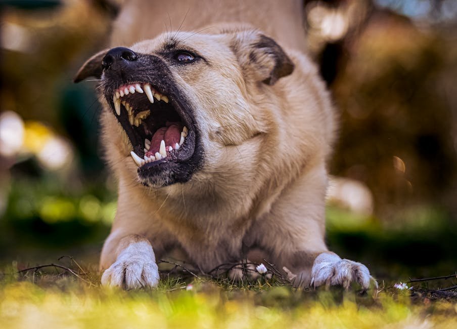 Ignoring Warning Signs (image credits: pexels)