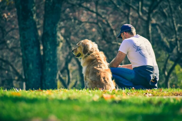 How Senior Dogs Can Bring a Special Calm to Your Life