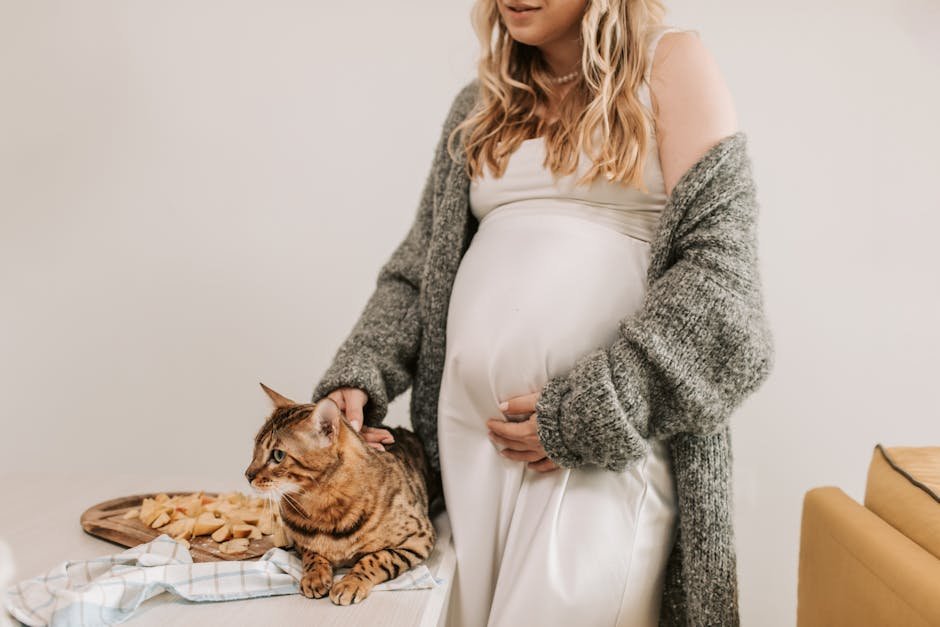 Pregnant Women Should Avoid Cats (image credits: pexels)