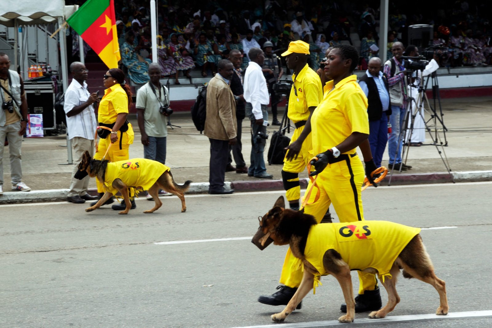 Your Wardrobe Includes Dog-Inspired Items (image credits: wikimedia)