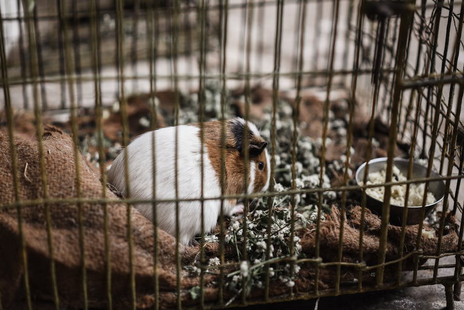 9. Ignoring Their Environmental Needs (image credits: pexels)