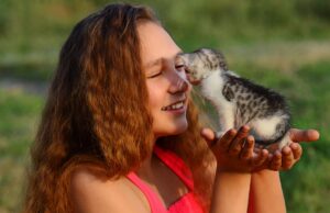 10 Tips to Calm a Moody Cat