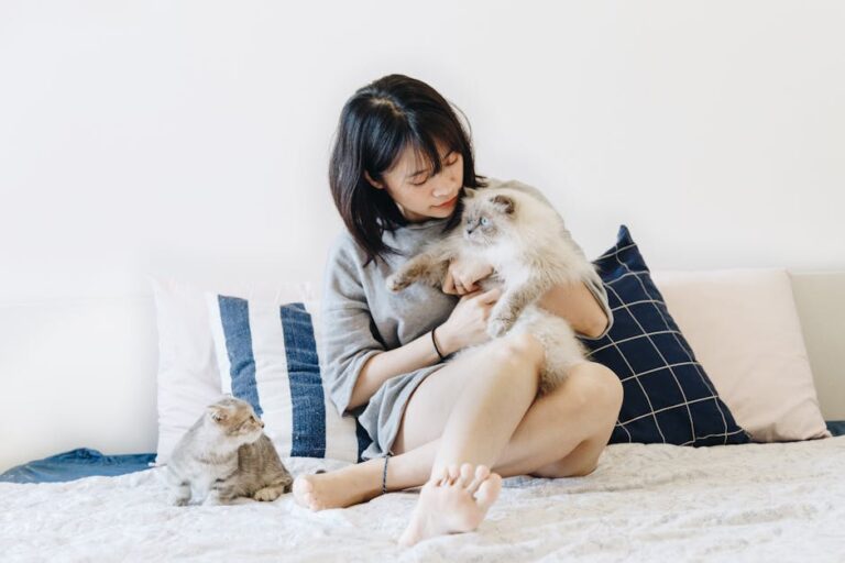 Feline Harmony: 10 Ways To Help Your Cats Get Along