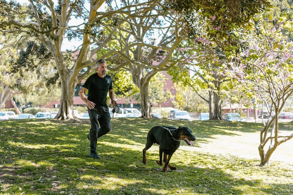 Regular Exercise and Playtime (image credits: pexels)