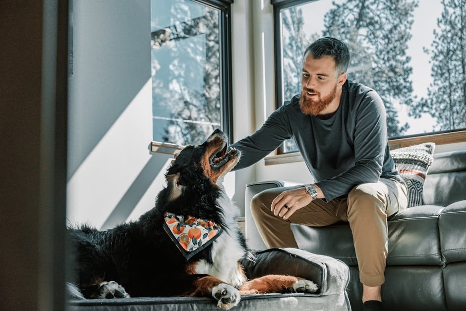 Creating a Safe Environment (image credits: pexels)