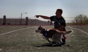 12 Daily Habits Your Dog Will be Grateful For