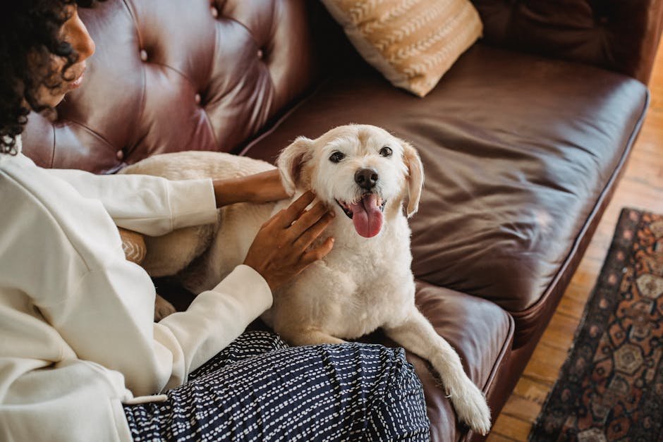 Stay Calm and Composed (image credits: pexels)
