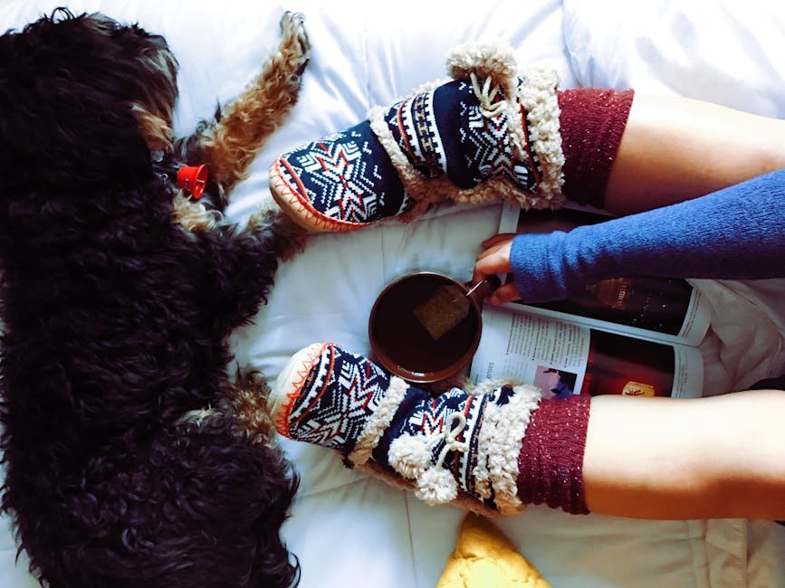 1. Seeking Attention (image credits: pexels)