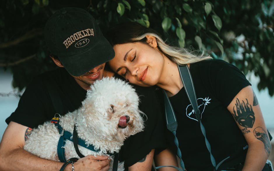Showing Affection to a Rival (image credits: pexels)