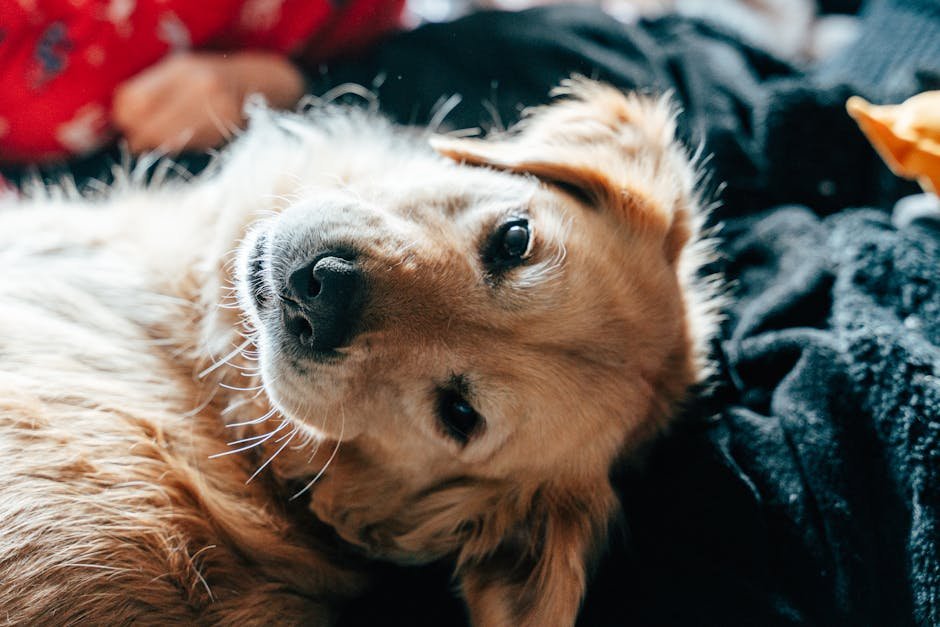 Frequent Accidents Indoors (image credits: pexels)