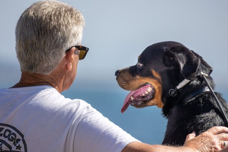 10 Large Dog Breeds Who Will Keep Trying to Sit on Your Lap