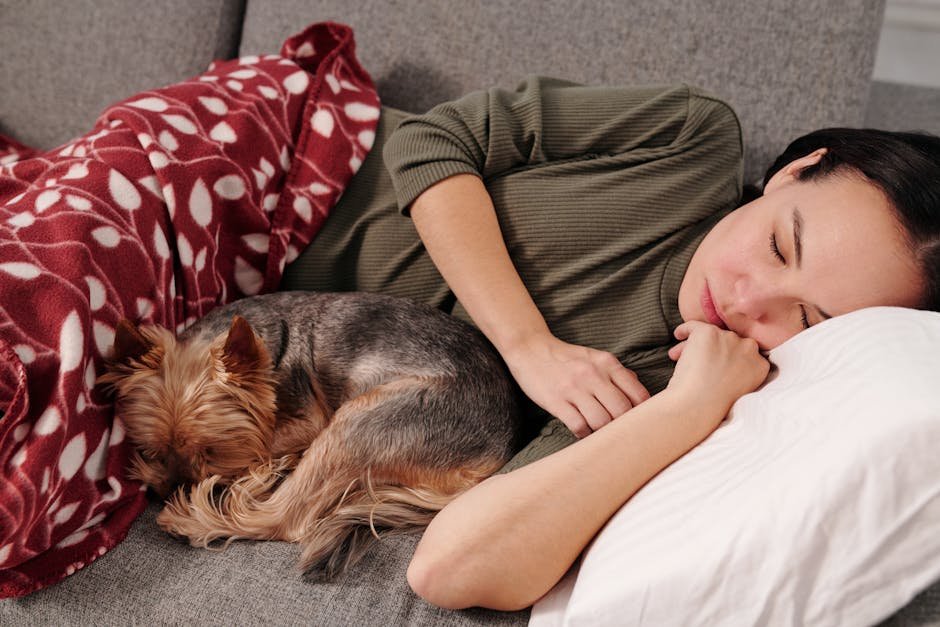8 Adorable Reasons Why Your Dog Sleeps With Their Butt Facing You