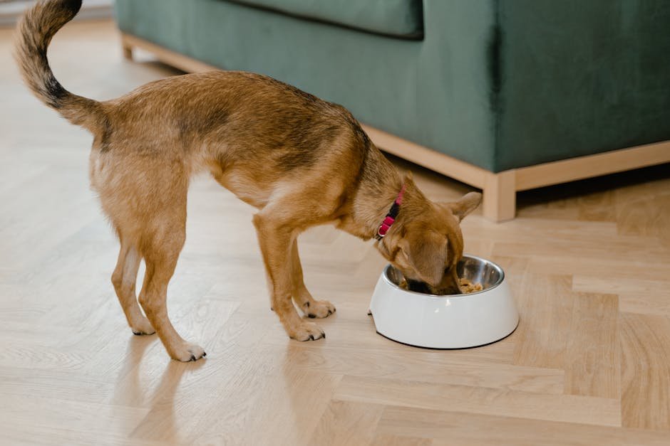 Ensure Proper Nutrition (image credits: pexels)