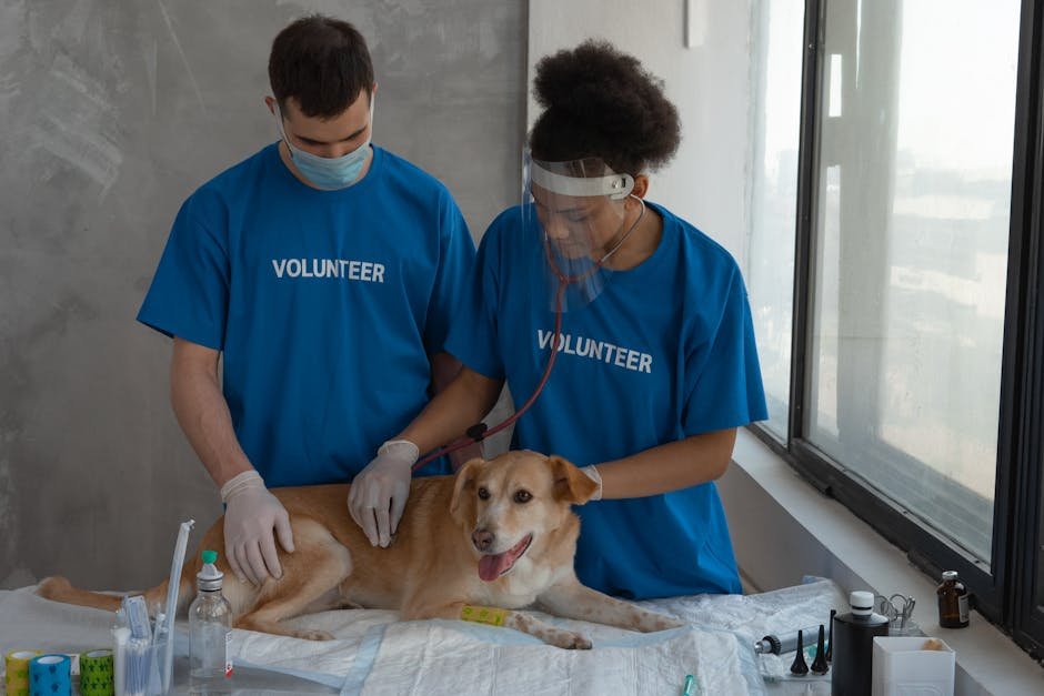 Maintain Regular Vet Visits (image credits: pexels)
