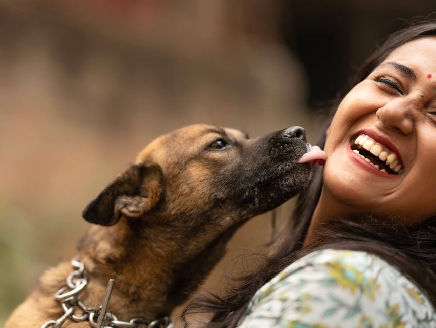 8. Licking You Affectionately (image credits: pexels)