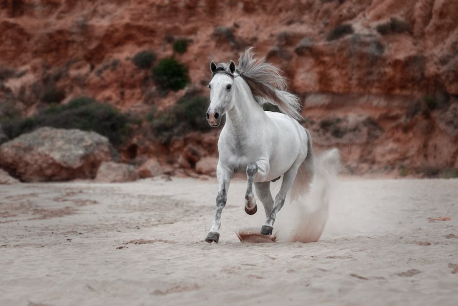 2. A Royal Companion (image credits: pexels)