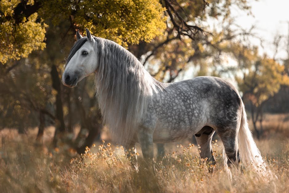 11 Facts About the Magnificent Andalusian Horse