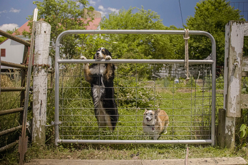 Inadequate Exercise: Pent-Up Energy (image credits: rawpixel)