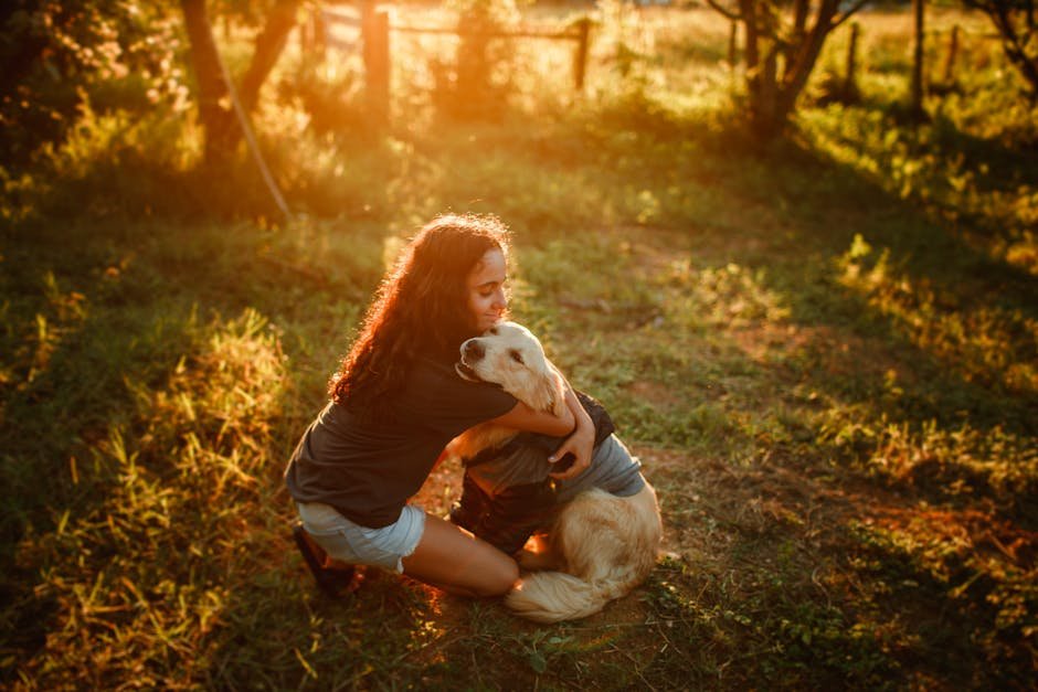 Golden Retriever: The Loyal Friend (image credits: pexels)