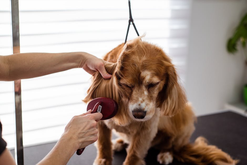 19. Excessive Shedding: A Stress Indicator (image credits: pexels)