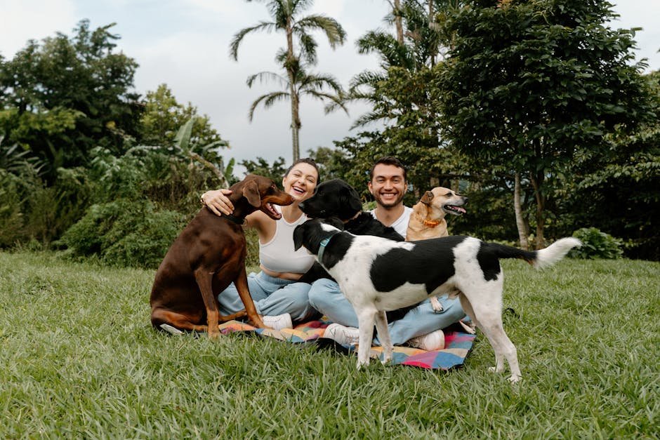 10 Signs Your Dog is Happy and 10 that Show They Need More Love