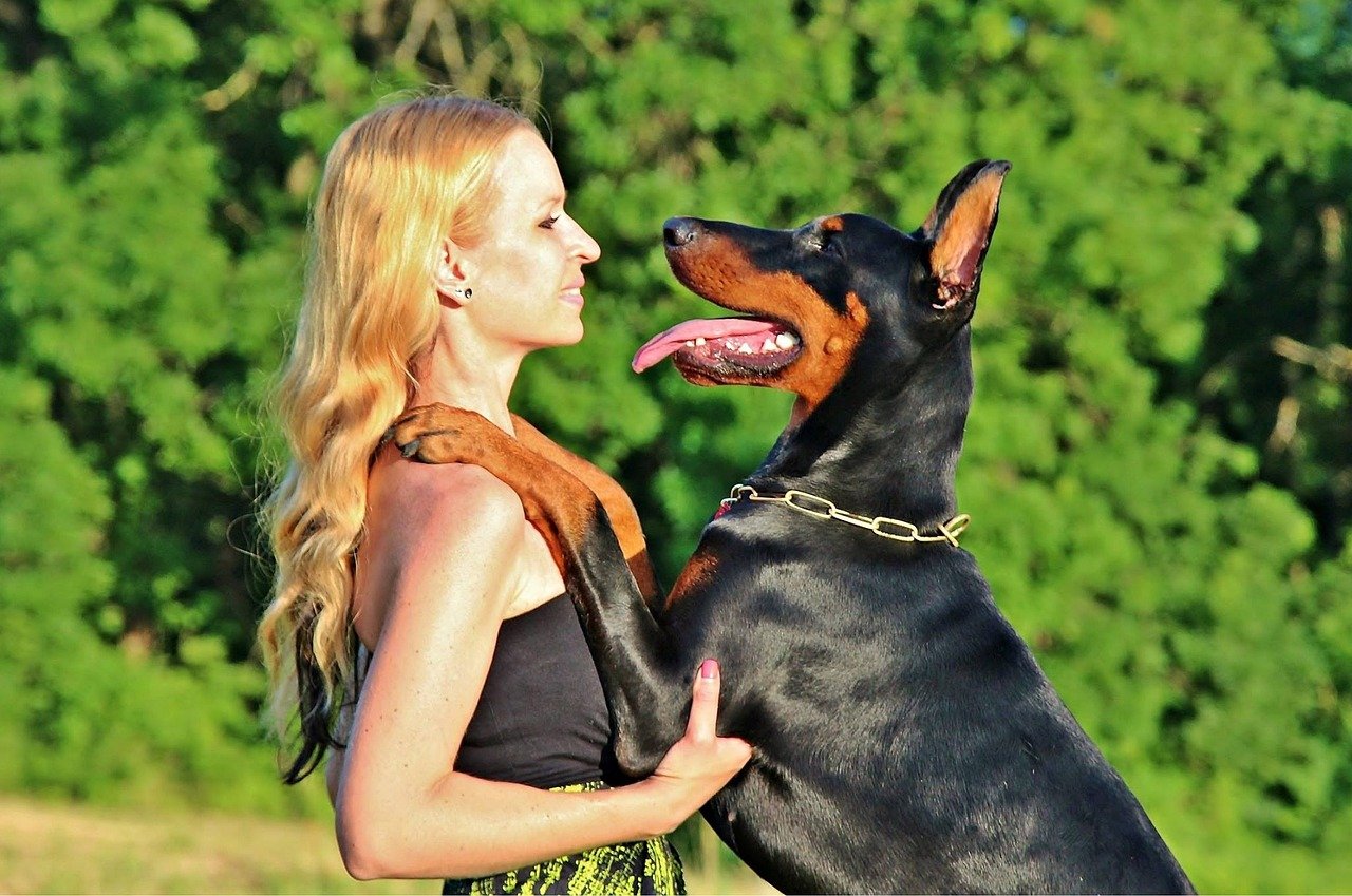6. Doberman Pinscher: The Alert Guardian (image credits: pixabay)