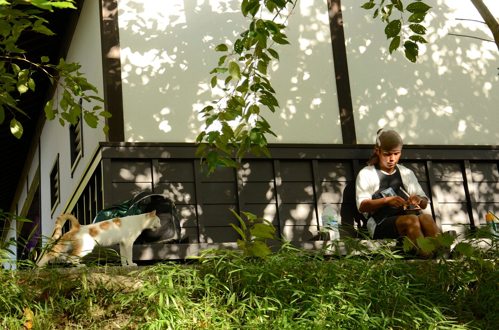 Respect Their Space (image credits: wikimedia)