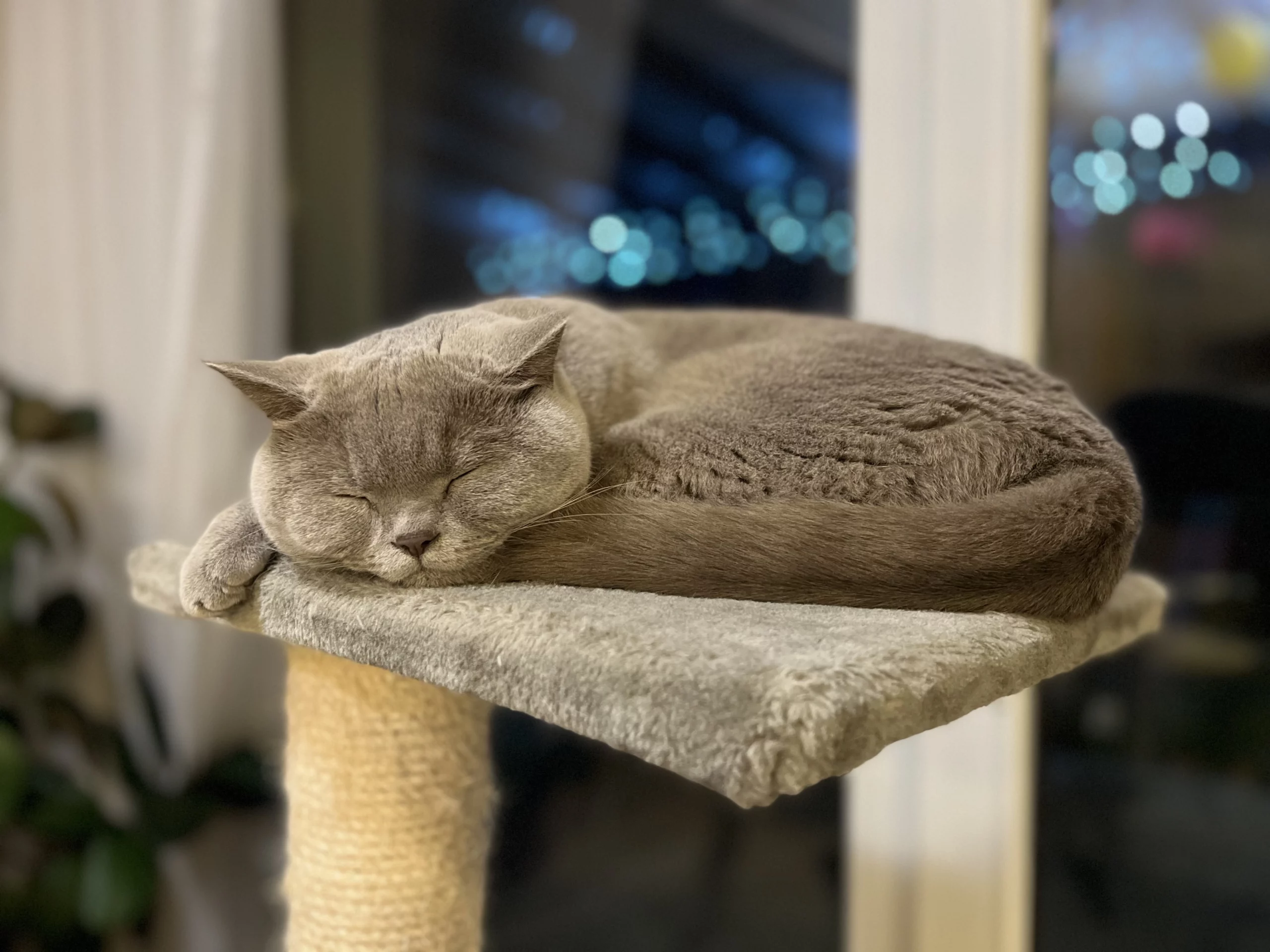 Create Vertical Spaces (image credits: wikimedia)