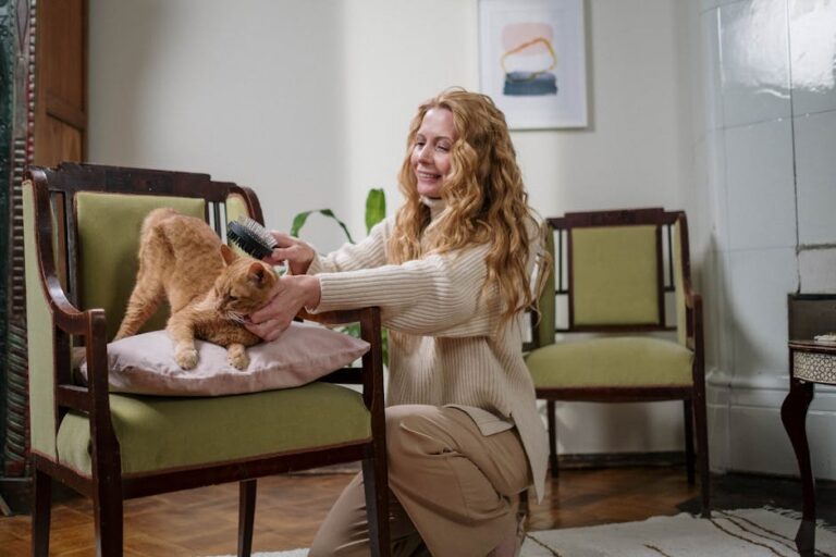 10 Little Things to Do that Your Cat Will Be Thankful For