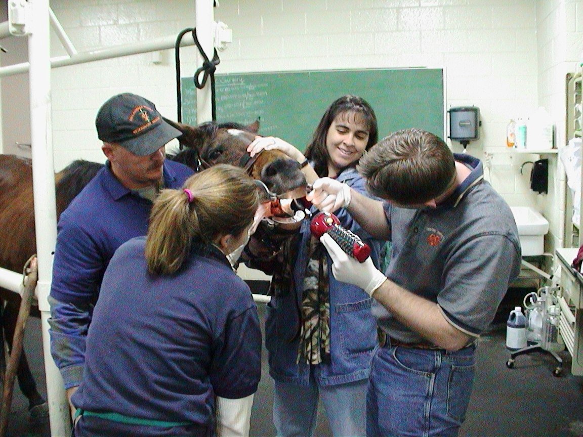 Regular Health Check-Ups (image credits: wikimedia)