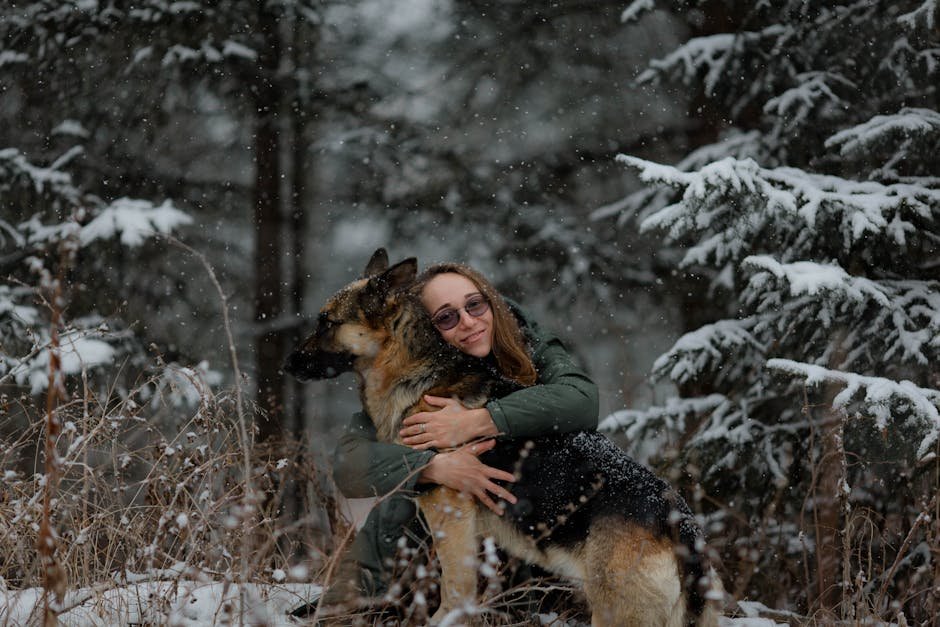 10 Ways to Keep a Retired and Adopted K9 From Feeling Unwanted