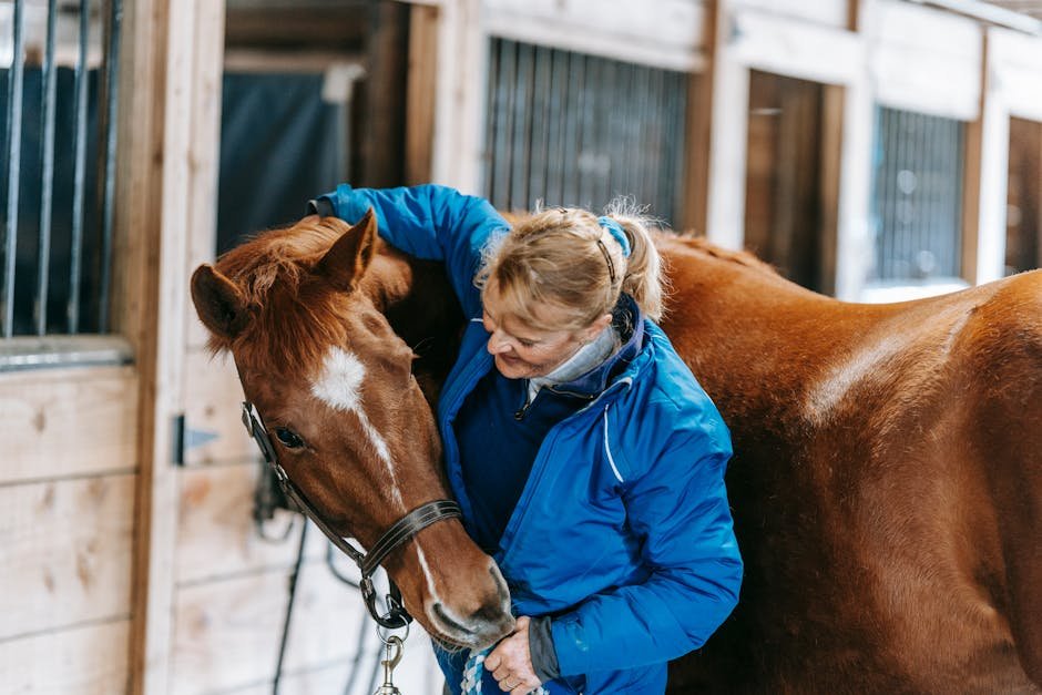 Grooming You Back (image credits: pexels)